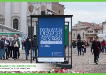 Divieto di macellazione equina: si confermano posizioni differenti