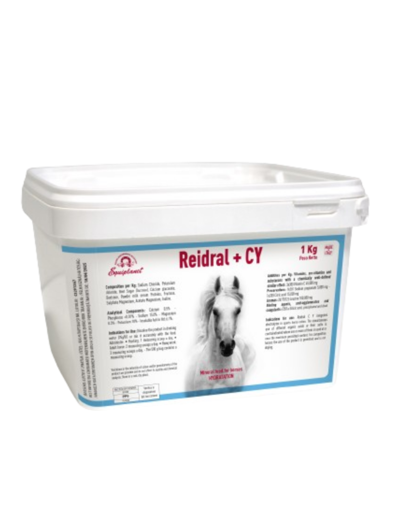 reidral cy 819x1024