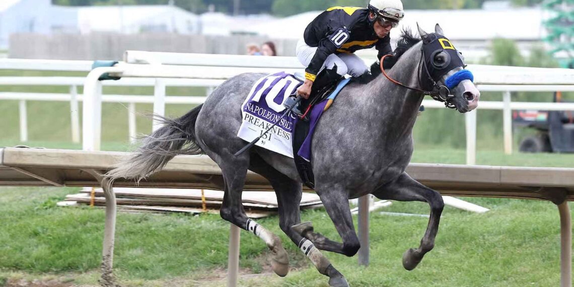 Trionfo di Napoleon Solo nella 151ª edizione della Preakness Stakes