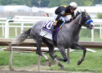 Trionfo di Napoleon Solo nella 151ª edizione della Preakness Stakes