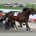La 77^ edizione del Gran Premio Lotteria
