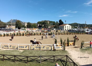Ascoli, un concorso divenuto adulto