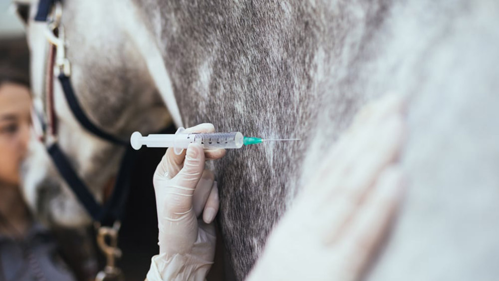 Antibiotic resistance