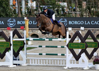 Matteo Checchi vince a Bedizzole