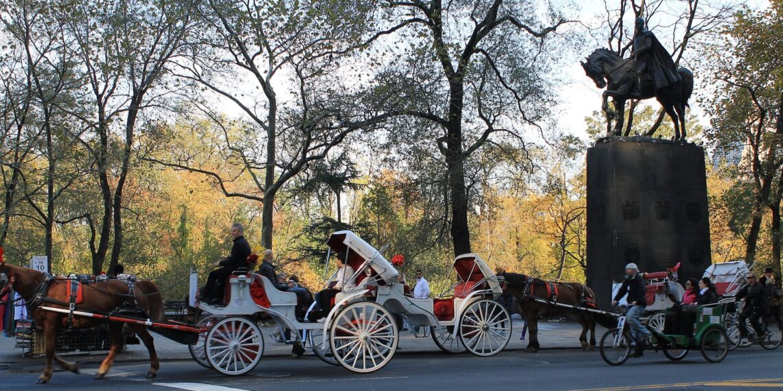New York, un altro dramma: cavallo fuori controllo, muore 18enne passeggero della carrozza