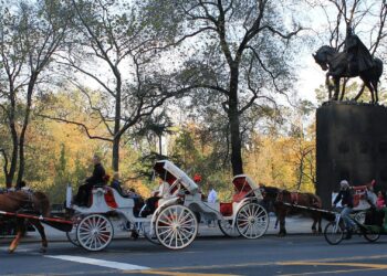 New York, un altro dramma: cavallo fuori controllo, muore 18enne passeggero della carrozza