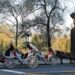 New York, un altro dramma: cavallo fuori controllo, muore 18enne passeggero della carrozza