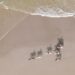 Fieracavalli Riding by the Sea: ultimi giorni per iscriversi