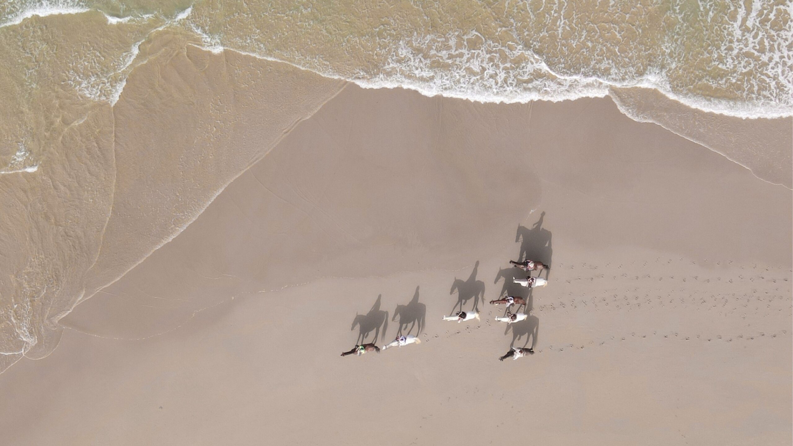 FIERACAVALLI RIDING BY THE SEA scaled