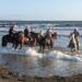 Da costa a costa: l’Italia attraversata a cavallo dall’Adriatico al Tirreno