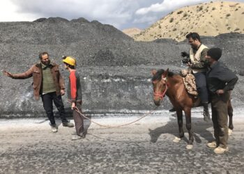 Whispering Rocks: il cavallo simbolo di libertà nel cortometraggio iraniano presentato ad Asolo