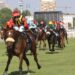A San Siro vanno in scena le Oaks d’Italia