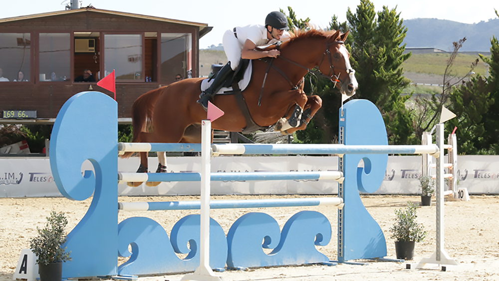Sambataro My Zenzero horsesphoto