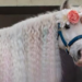 Il sogno dell’Unicorno può continuare