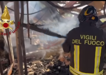 Incendio al Sant’Artemio. Diverse vittime tra i cavalli