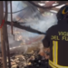 Incendio al Sant’Artemio. Diverse vittime tra i cavalli