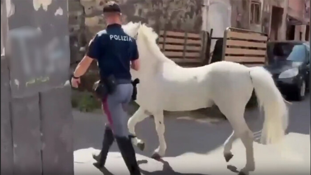 Schermata 2026 06 20 alle 18.15.18