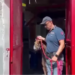Operazione ‘Zoccolo Duro’: sequestrati 23 cavalli