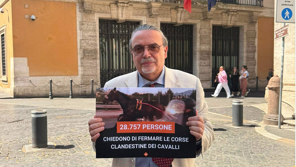 Schermata 2026 06 22 alle 12.36.23