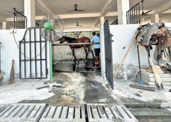 India: poliziotti tutto fare cercano groom