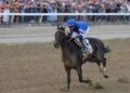 A Saratoga la 158^ edizione della Belmont Stakes