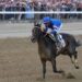 A Saratoga la 158^ edizione della Belmont Stakes