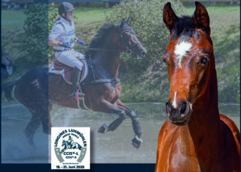 La prima asta di puledri da completo al Longines Luhmühlen Horse Trials è firmata Hannover