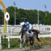 RB Burn The Bill: la prima femmina a vincere la Uae President Cup in Italia