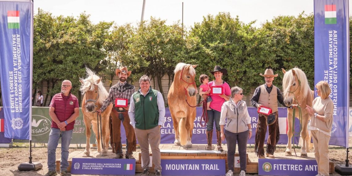 Haflinger d’oro…ma anche d’argento e di bronzo, a Travagliato!