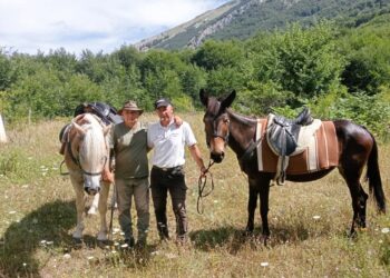 Maiella, valanghe e  lupi gentiluomini