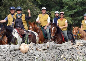 Stati Generali del Turismo Equestre: al CNEL il confronto sul futuro del settore