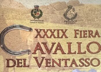 Fiera del Cavallo del Ventasso 2026: a Ramiseto due giorni tra cavalli, tradizione e territorio