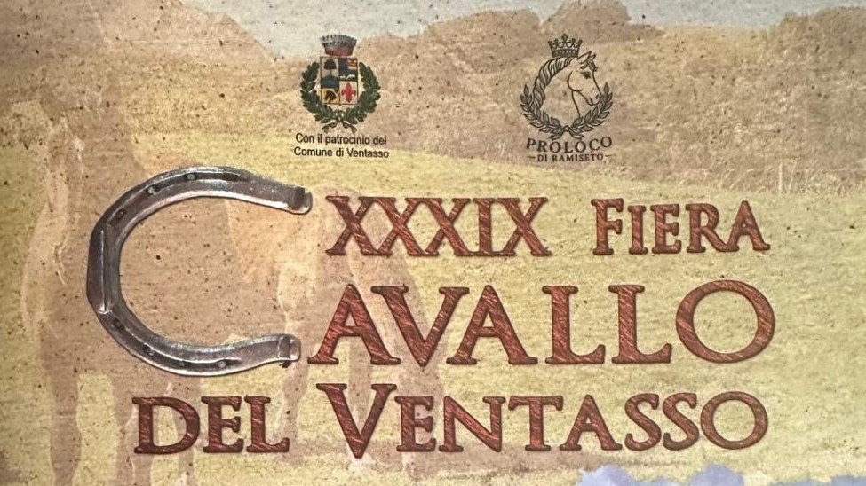 cavallo del ventasso picc