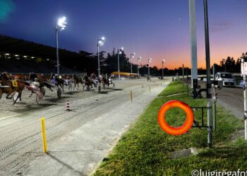 Riflettori puntati sulla riapertura del Savio