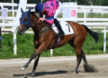 Uae President Cup a Milano: tante star al via