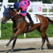 Uae President Cup a Milano: tante star al via