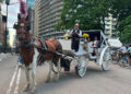 Ciao Deniz, lavoratore a Central Park