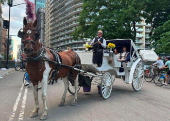Ciao Deniz, lavoratore a Central Park