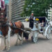 Ciao Deniz, lavoratore a Central Park