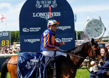 Diamond Necklace vince il Prix de Diane in rimonta
