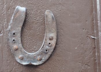 Roma, il bilancio della fuga: un cavallo grave, ma nessuno morto o abbattuto
