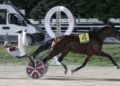 Notturna speciale a Milano col Gp Nazionale e il Triossi
