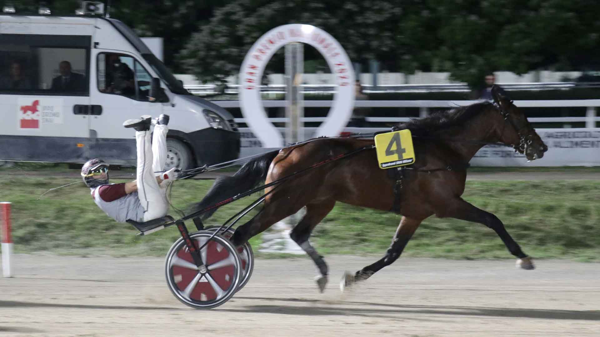 gino gelor