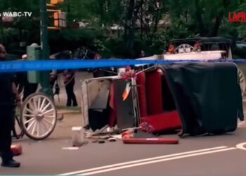 New York, un altro dramma: cavallo fuori controllo, muore 18enne passeggero della carrozza