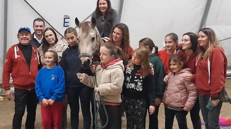 progetto dedicato allautismo da cavalli cani e asini un grande aiuto allinclusione