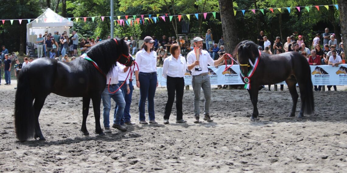 Cavallo Bardigiano, le fiere di maggio custodiscono tradizione e futuro dell’Appennino