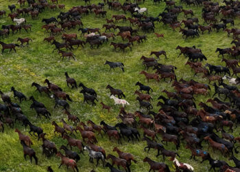 Il più grande spettacolo lo offre la natura