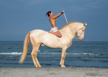 Addio a Zar, il cavallo di Silvia Elena Resta: «Lo sceglierei altre mille volte»