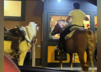 Ride-in in Puglia