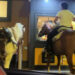 Ride-in in Puglia